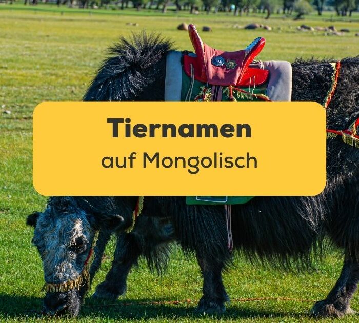 Titelbild: Tiernamen auf Mongolisch
