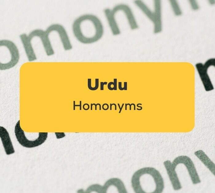 Urdu Homonyms_ling app_learn urdu_Title Homonyms