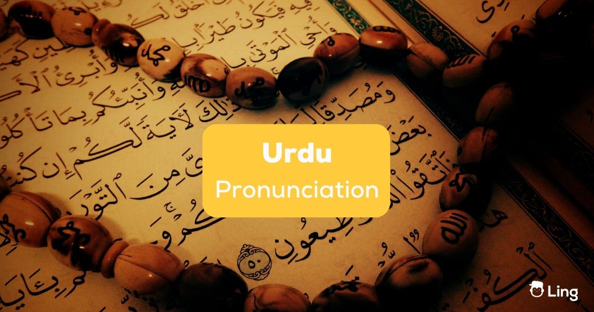 Grabbing meaning in Urdu - Translation of Grabbing 
