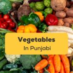 Vegetables In Punjabi Ling