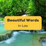 Beautiful Lao Words Ling app
