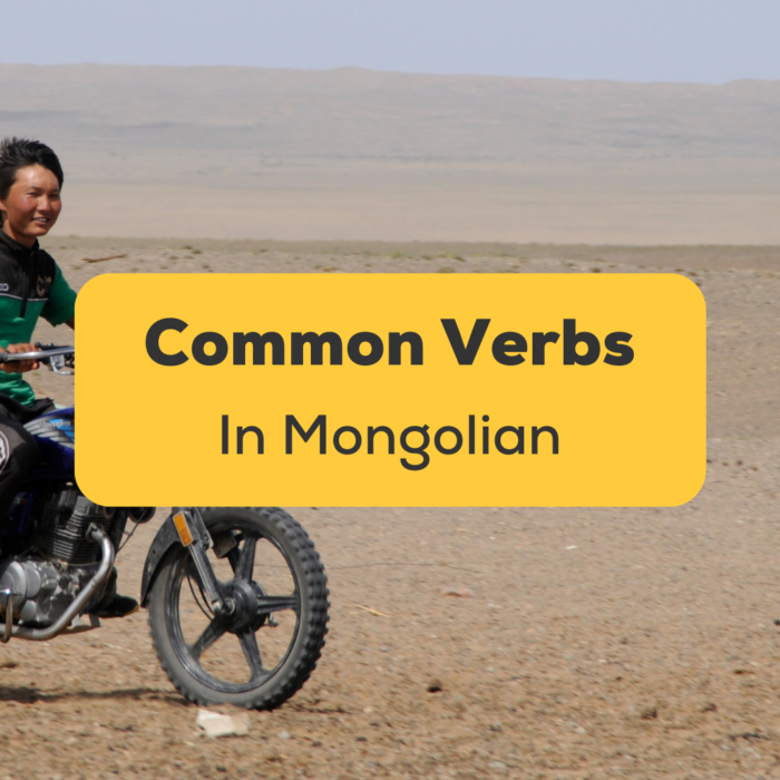 Common Mongolian Verbs