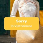 Sorry in Vietnamese