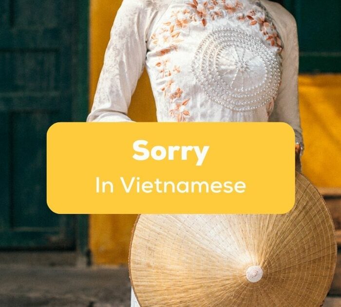 Sorry in Vietnamese