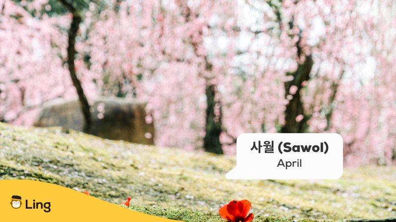 korean months april number month - months of the year list in korean