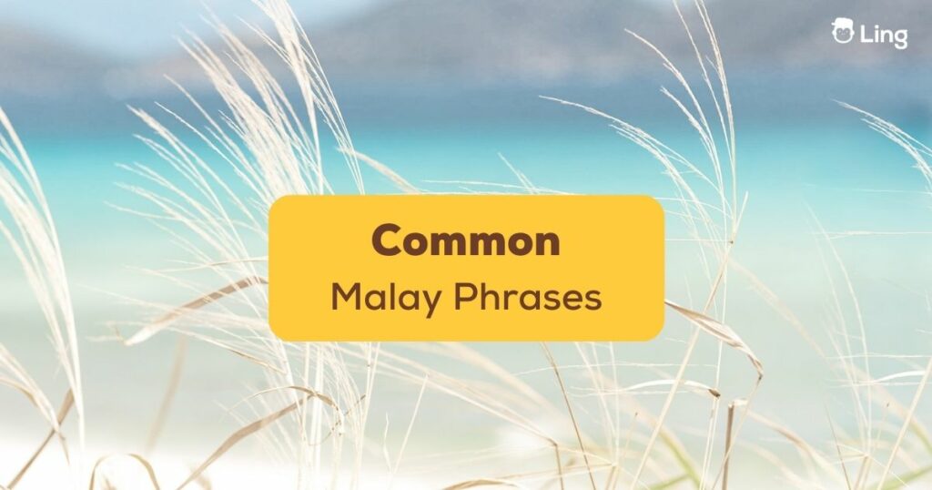 Which Malay quotes will work the best for you? Check all of them out in this article!