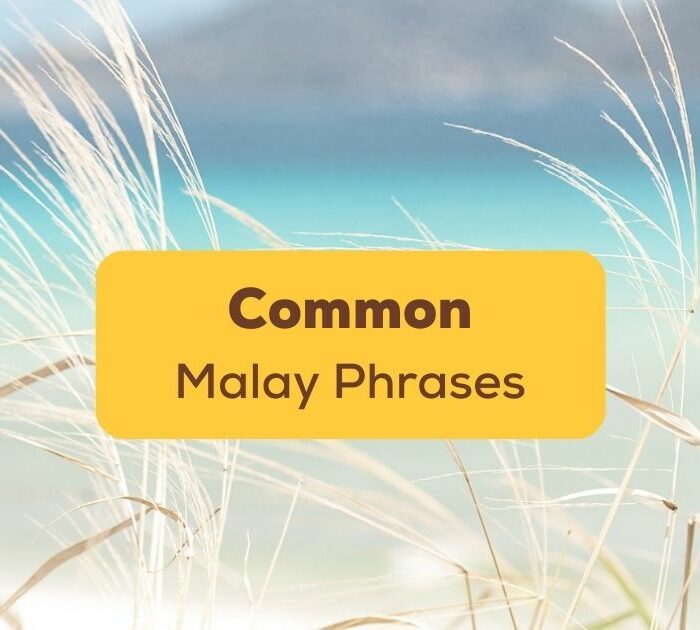 Which Malay quotes will work the best for you? Check all of them out in this article!