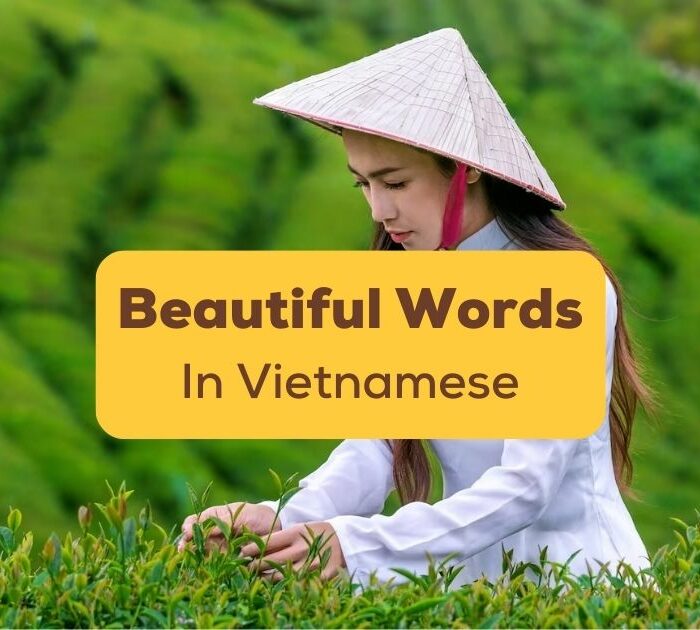 Beautiful Vietnamese Words Ling App