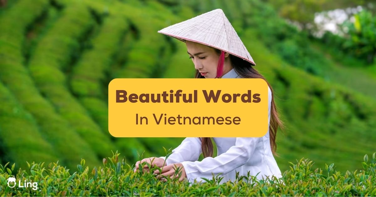 10-stunning-vietnamese-phrases-that-deserve-to-be-in-your-vocabulary