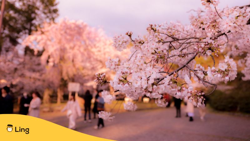 Best Time To Visit Japan - Japanese weather vocabulary - Ling