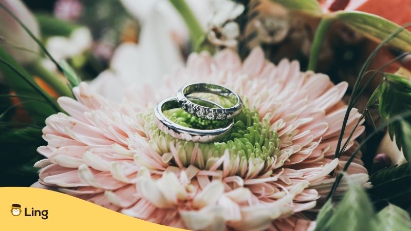 Cambodian Marriage. Silver wedding rings on a pink flower.