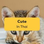 Say cute in Thai Ling app