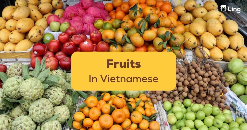 Fruits In Vietnamese Ling App