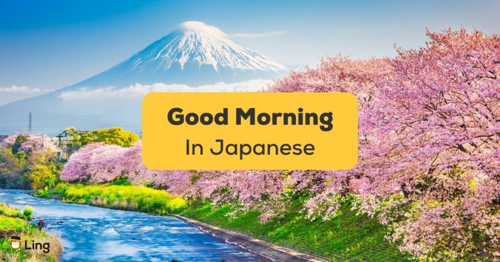 Good Morning In Japanese-ling-app-fuji-sakura
