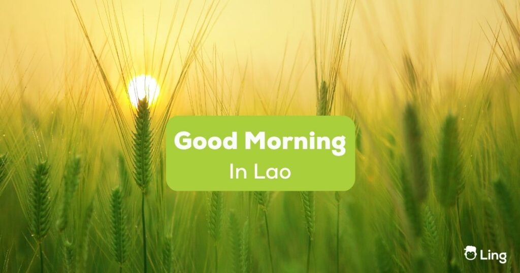 Good Morning In Lao