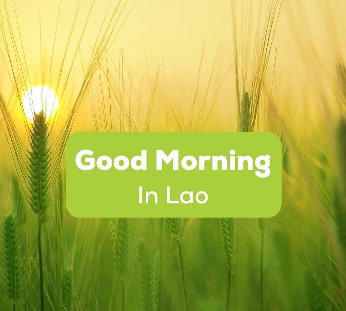 Good Morning In Lao