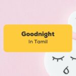 Goodnight in Tamil_ling app_learn tamil_Cartoon sleeping