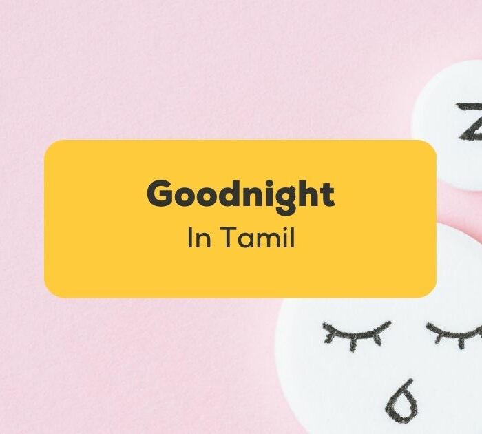 Goodnight in Tamil_ling app_learn tamil_Cartoon sleeping