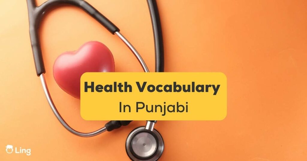 Health Vocabulary In Punjabi Ling