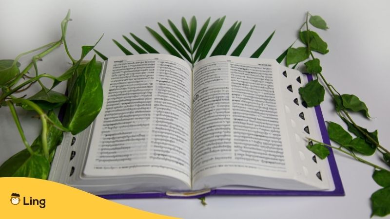 History Of Khmer Language. An open copy of the Bible written in Khmer with leaves in the background.