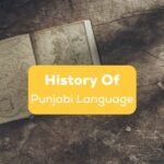 history of punjabi language