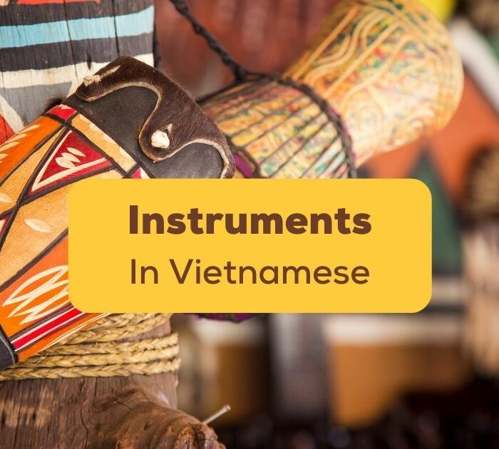 Instruments In Vietnamese Ling App