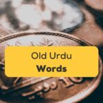 Old Urdu Words Ling