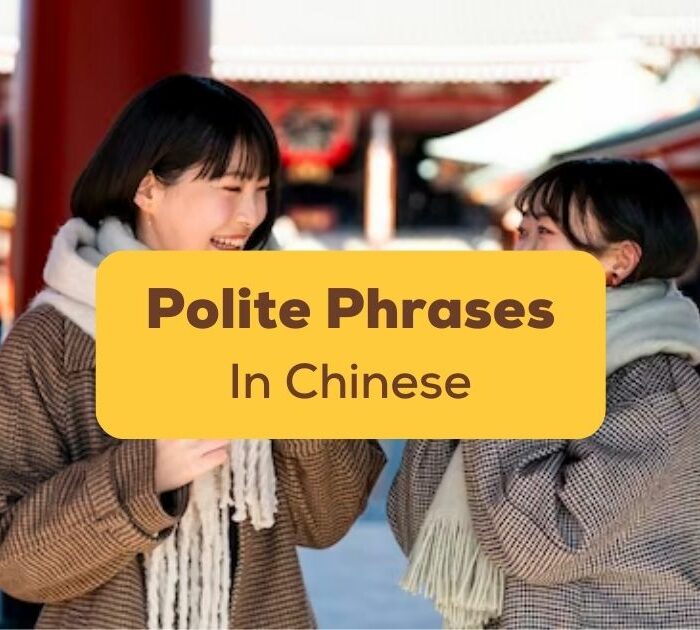 Polite Chinese Phrases Ling App