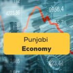 Punjabi Economy Ling