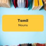 Tamil Nouns_ling app_learn tamil_Pile of books