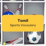 Tamil Sports Vocabulary_ling app_learn tamil_Sports equipment