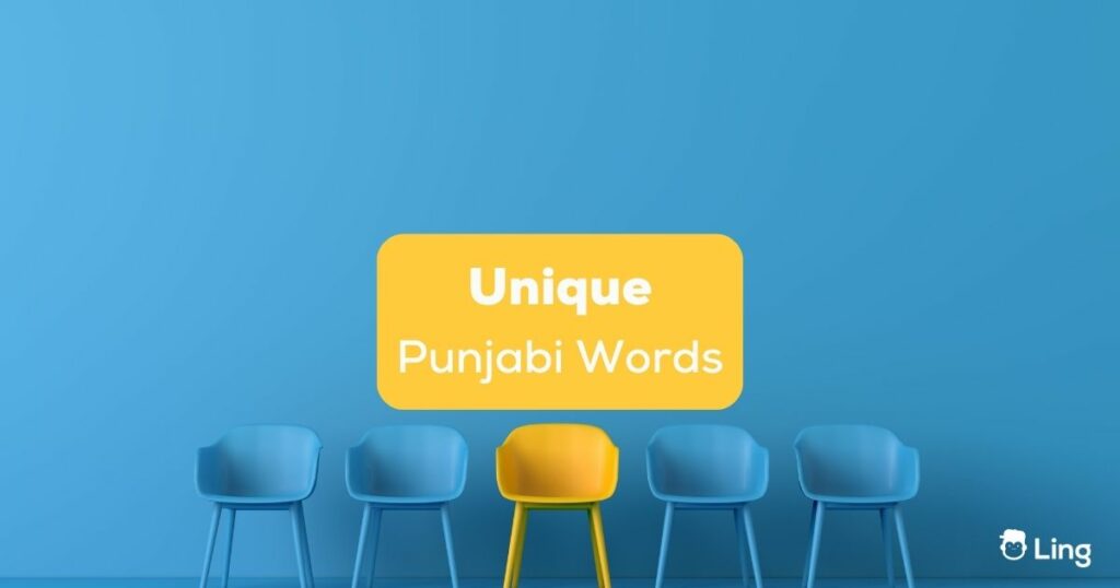 unique Punjabi words