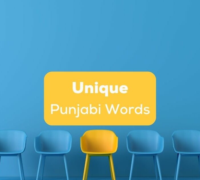 unique Punjabi words
