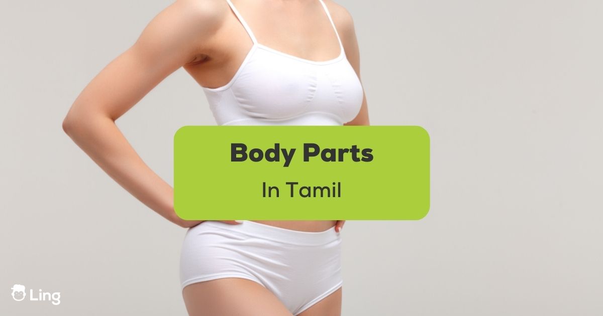 body parts tamil ling app feature