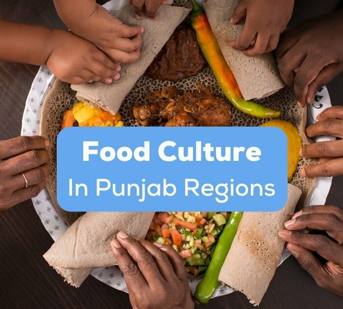 Food culture in Punjabi regions observed in a Punjabi household.