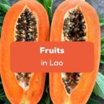 Fruits in Lao Ling App