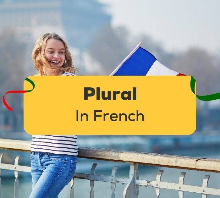 Making French Words Plural