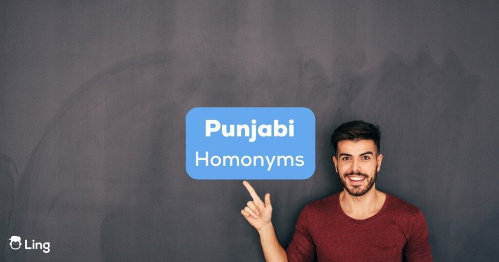 A language learner must understand Punjabi homonyms to avoid communication mistakes.