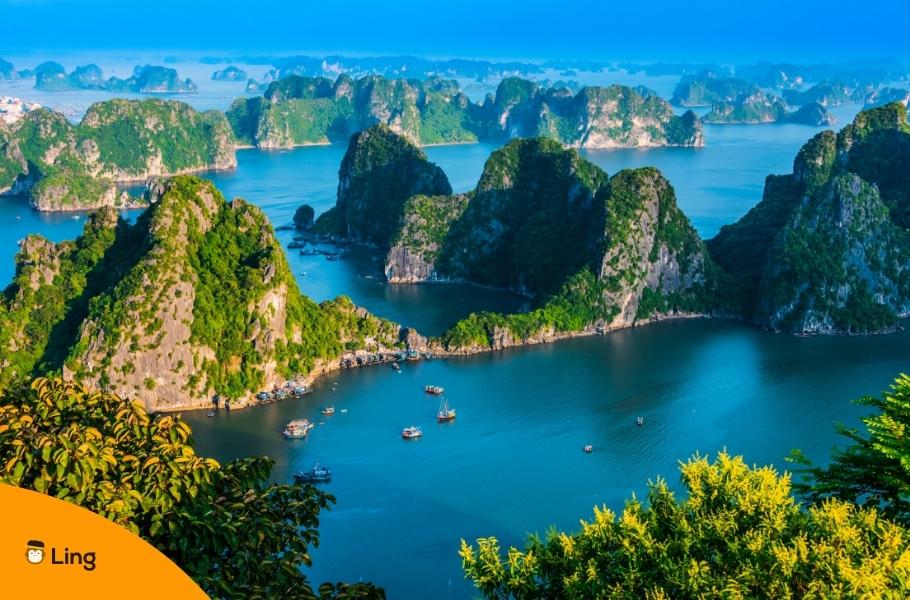 Panoramic View Of Ha Long Bay, Vietnam