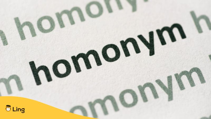 meaning with its sentence for homonyms ​ - Brainly.in