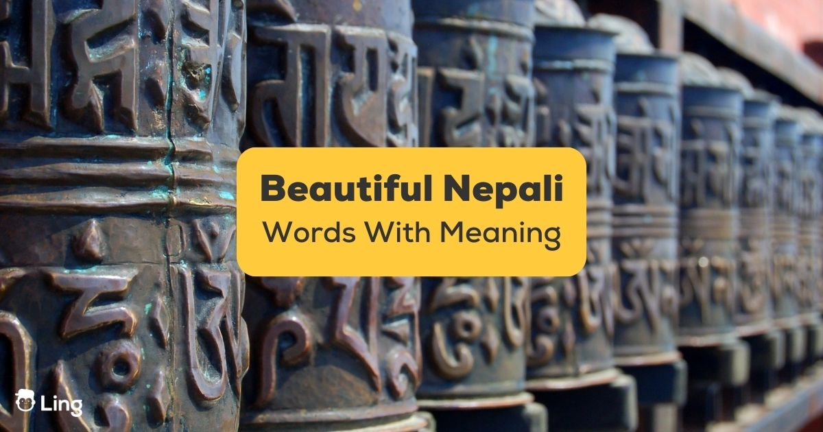 journey word meaning in nepali