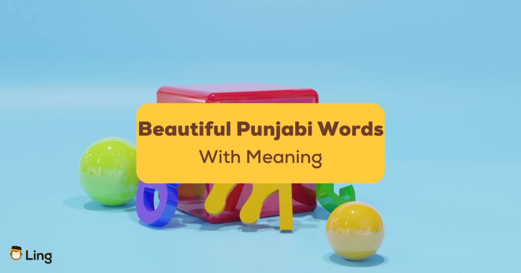 8 Beautiful Punjabi Words with Meaning