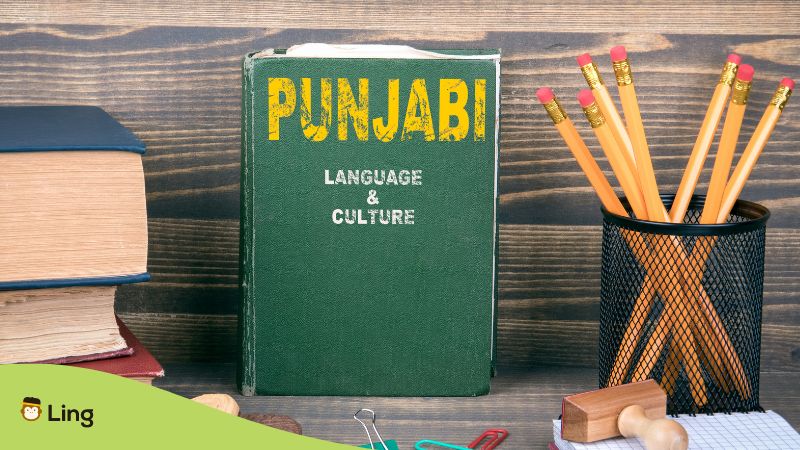 Beautiful Punjabi Words with Meanings List- Ling App