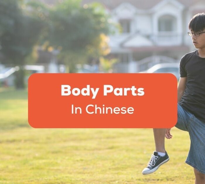 Body-Parts-In-Chinese