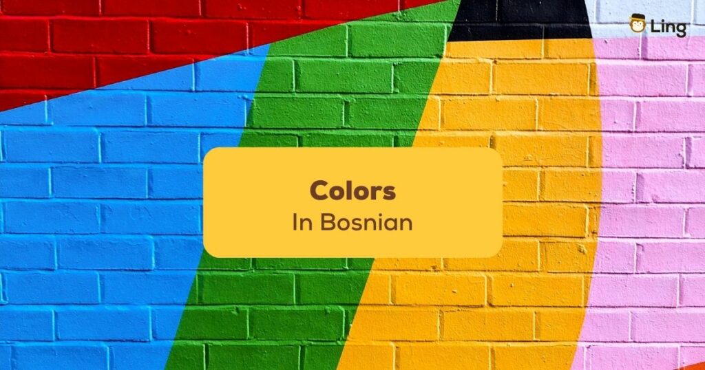 Colors-In-Bosnian-Ling-App