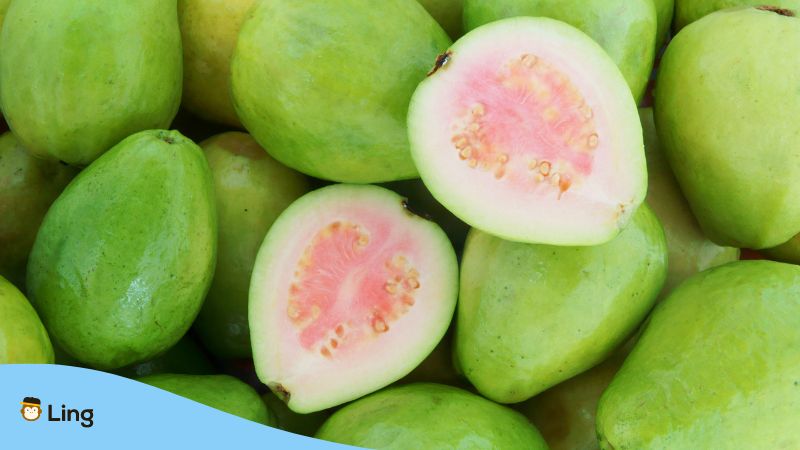 Fruits in Urdu (Guava)- Ling App