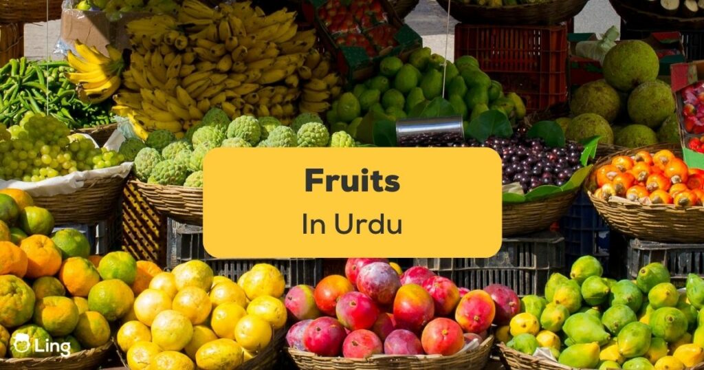 Fruits in Urdu Ling App