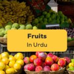 Fruits in Urdu Ling App