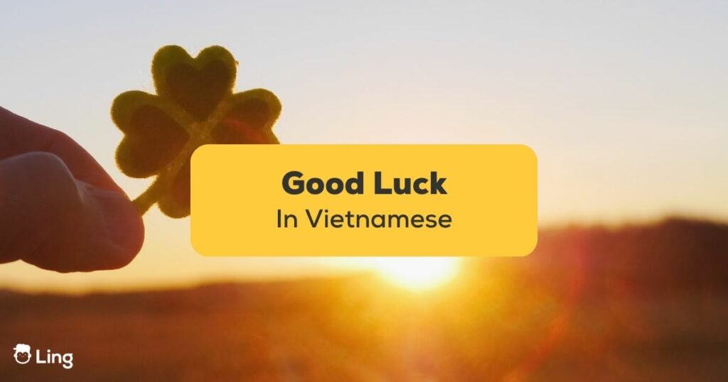 Good Luck In Vietnamese: 7 Easy Ways To Say It