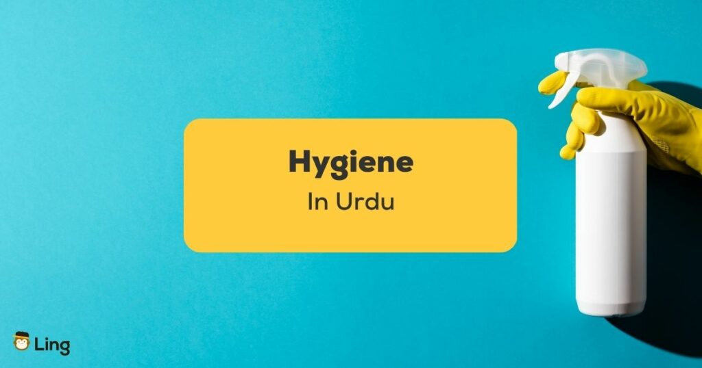 Hygiene In Urdu_ling app_learn urdu_Spray Clean